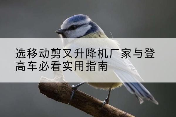 平乐电动升降机厂家-选移动剪叉升降机厂家与登高车必看实用指南