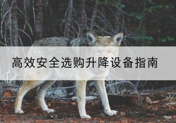 平乐升降货梯厂家推荐-*安全选购升降设备指南