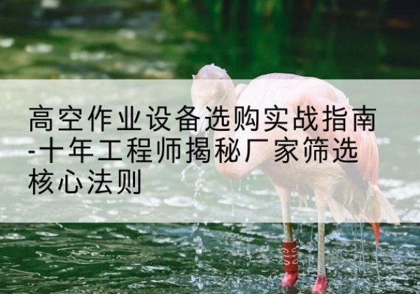 平乐剪叉式升降机厂家-高空作业设备选购实战指南-十年工程师揭秘厂家筛选核心法则